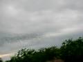 Nature - Ankit