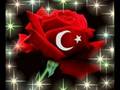 NE MUTLU TURKUM DIYENE BULENT SERTTAS