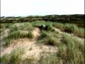 Guarda video