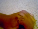 The Boss Hand Puppets