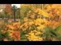 la palette d'automne au parc de Champagne.