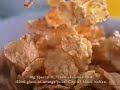 Lisa Snowdon - Kelloggs Special K