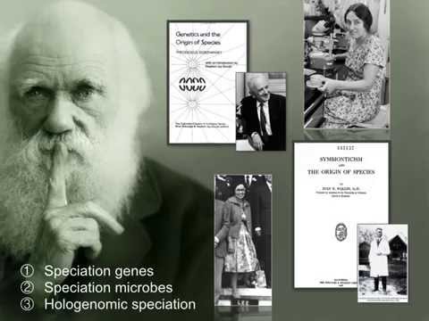 how to isolate wolbachia