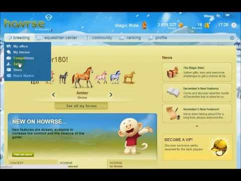 how to start off your ec on howrse