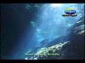 Scuba cenotes diving cavern riviera maya