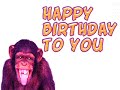 birthday