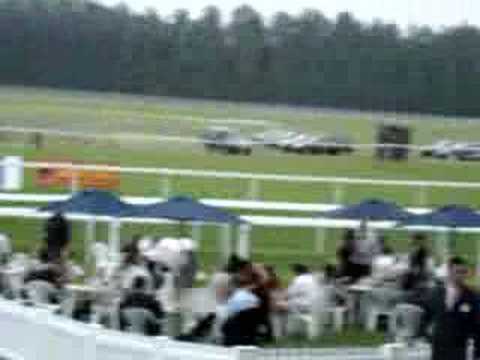 racing results cheltenham