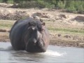 Tanzania-Selous reserve Tanzania-Selous reserve