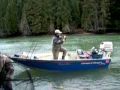 Steelhead on size 1 hooks