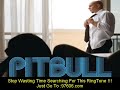 hotel room service lyrics pitbull