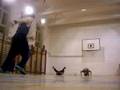videos de Suicidal lifestyle practice5