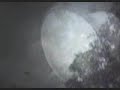 Blu Poe (the rain)