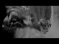 Anatomy Of Change, Thierry Mugler