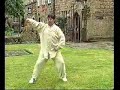 Chen Taiji Ma Baoguo Chen Taiji Ma Baoguo