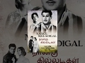 Naagu Killadigal
