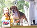 Mobile Dog Wash Guadalajara