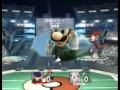 Super smash bros brawl final roster