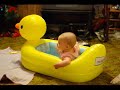 Stop Action Ducky Stop Action Ducky