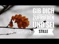 videos de Gib dich zufrieden und sei stille ( klassische Kirchenlieder ) - Paul gerhard