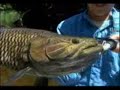 pesca deportiva