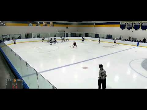 got a loose puck and put it in the back of the net