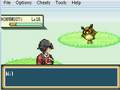 videos de Lets Play Pokemon Shiny Gold Part 19-End Of Training