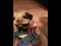 Princess mooshu and the dragon