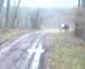edlinger die pfeife mit honder cr edlinger die pfeife mit honder cr