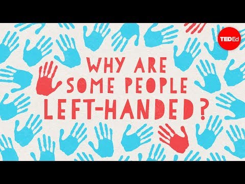 Lesson 21. Why are some people left-handed? Thumbnail