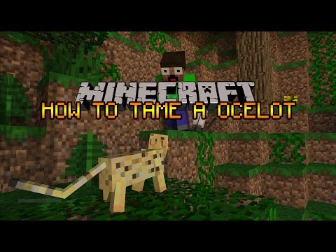 how to tame an ocelot in minecraft