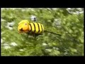 Maya The Bee Maya The Bee