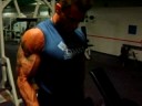 Bodybulding CBB Matthias Krause