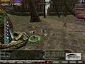 risenko orc town