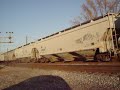 NS SB grain, Dash-840C, nice horn, NS C39-8E 8669!!!!