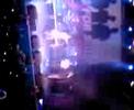 Bowling for soup Eric getting kicked in the baws Bowling for soup Eric getting kicked in the baws