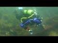 Buceo en el Afroditi-P (Pecio)