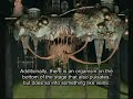 Thumbnail #3