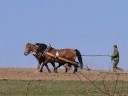 Farma Kri?n?v dv?r (Lhotka Veselka)