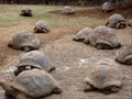 Mauritius - a virtual tour - places to visit