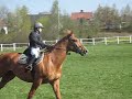 Tävling Flying condrad Tävling Flying condrad