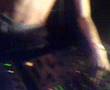 YouTube - Acid Flux LIVE @ NGOHT 4th B-Day