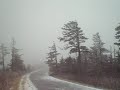 Mt. Mitchell Trail Mt. Mitchell Trail
