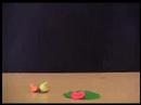 Animatie 2006 - Crefi