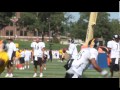 Steelers starting quarterback Dennis Dixon
