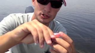 DockSide TV Image
