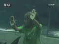 Cámara Oculta en el acuario 19