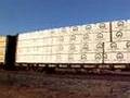 UP 4067 quality manifest freight south