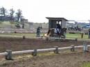 imjustjoking22: Novice Eventing Dressage Test on the super pony!