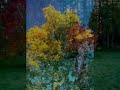 FLORA--USA Fall Colors