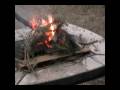 videos de BOOOOm